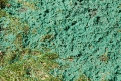 gallery-erosion-3