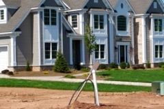 gallery-excavation-4
