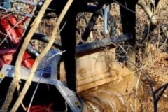 gallery-mulching-1