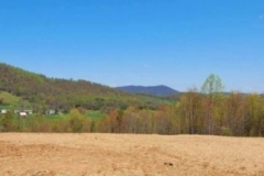 gallery-mulching-2