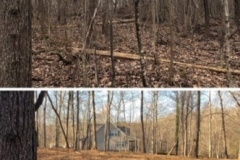 gallery-mulching-4