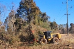 gallery-clearing-6