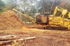 gallery-land-5