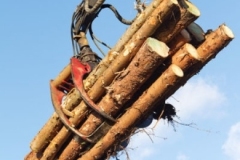 logging-gallery-1