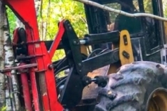 logging-gallery-11