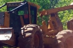 logging-gallery-4