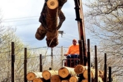 logging-gallery-7