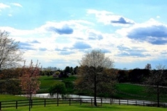 gallery-pond-2