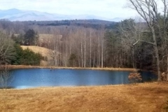 gallery-pond-3