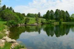 gallery-pond-4