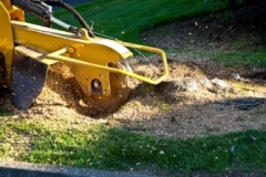 SnowRemoval-1-400x284