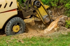 SnowRemoval-2-400x284